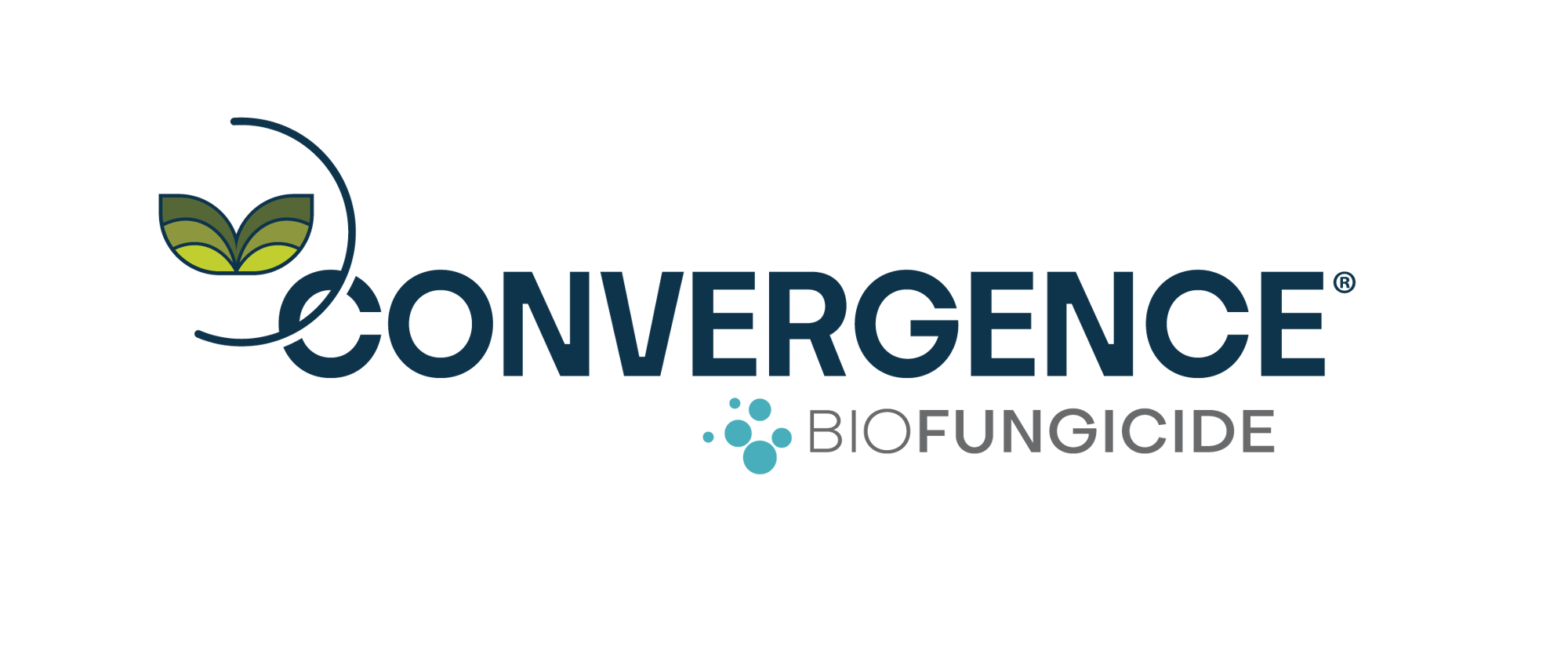 ConvergenceLogoCMYK-(R)