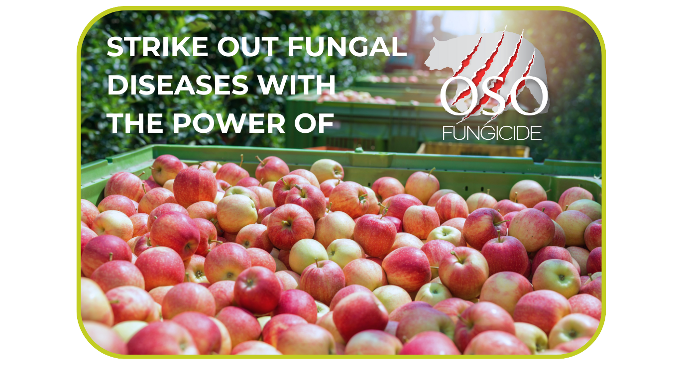 STRIKE OUT FUNGAL DISEASES WITH THE POWER OF (1)