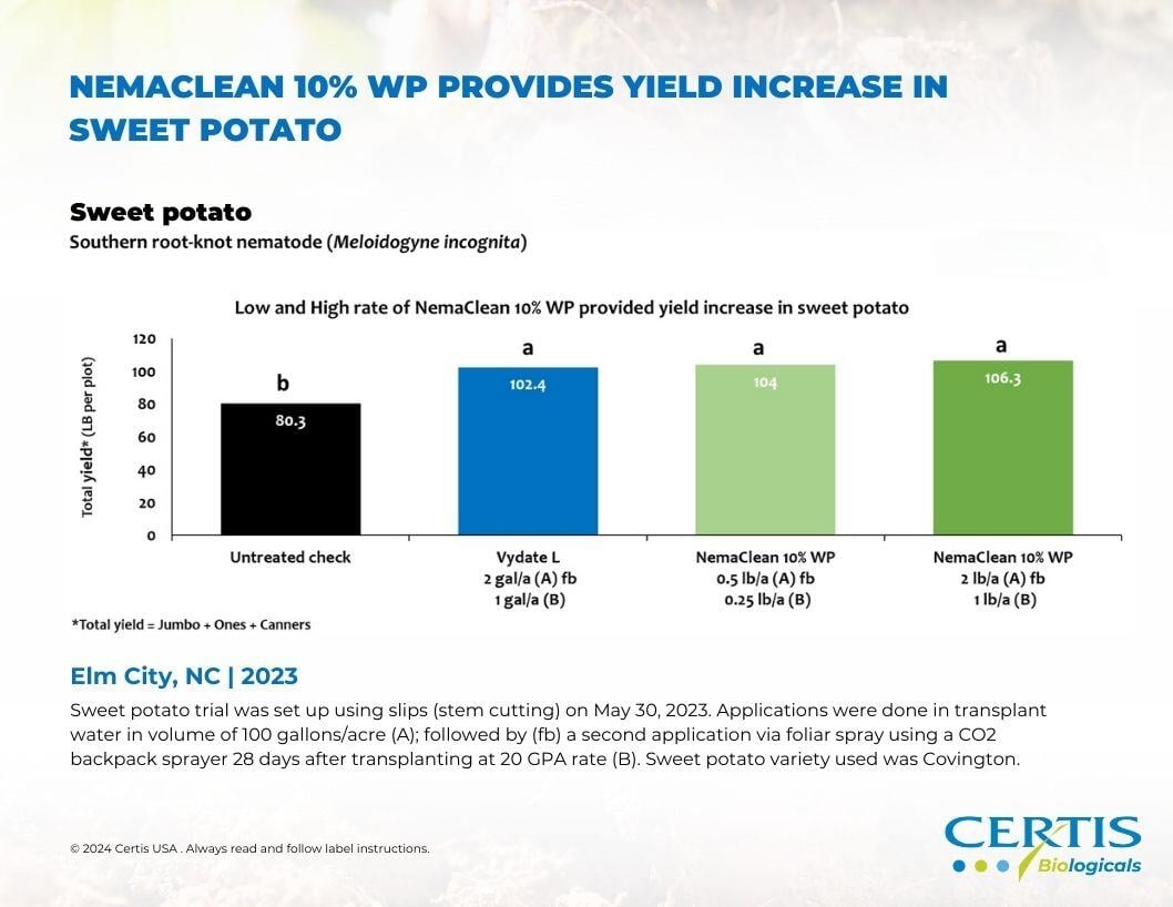 NemaClean Yield Increase in Sweet Potato Data